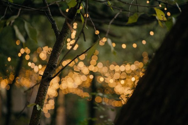 LED svetelná reťaz teplá biela VINTAGE veľké žiarovky
