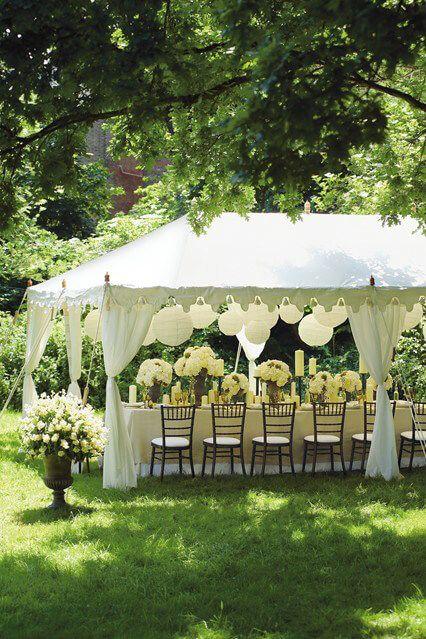 Garden party stan 4x6 m