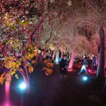 Led reflektor studená biela