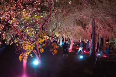 LED reflektor studená biela na prenájom
